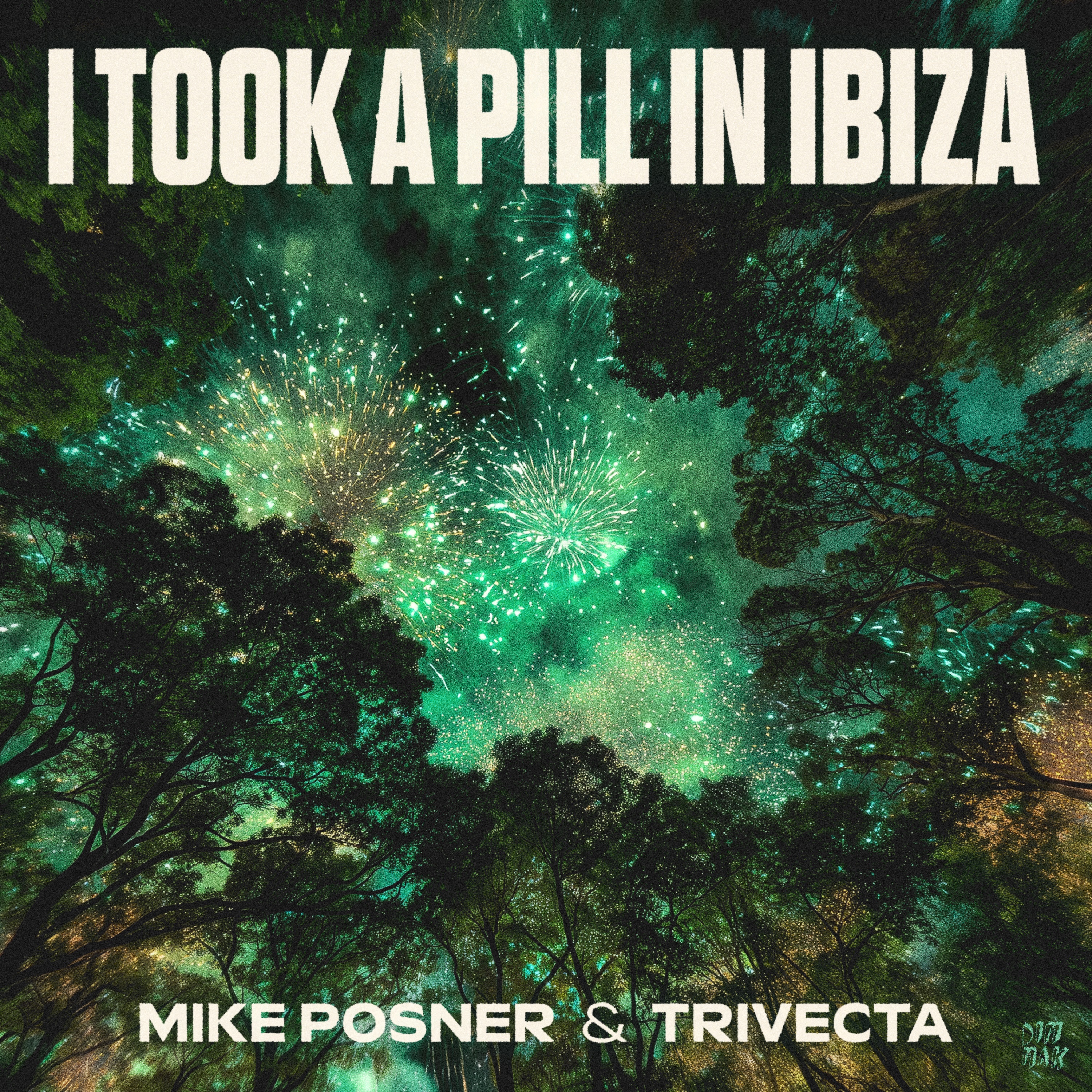 Mike Posner & Trivecta - I Took a Pill in Ibiza
