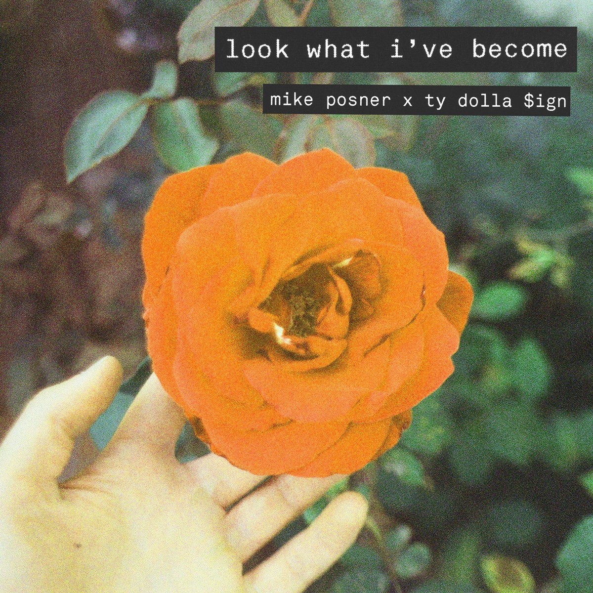 Mike Posner - Look What I've Become (feat. Ty Dolla $ign)
Released: July 11, 2019 
Label: Island Records

