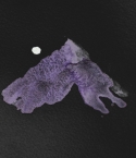 Filename=001.jpg
Filesize=1984KiB
Dimensions=2000x2000
Date added=Mar 25, 2022 001.jpg