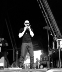 Filename=003.jpg
Filesize=505KiB
Dimensions=2048x1152
Date added=Nov 21, 2024 003.jpg