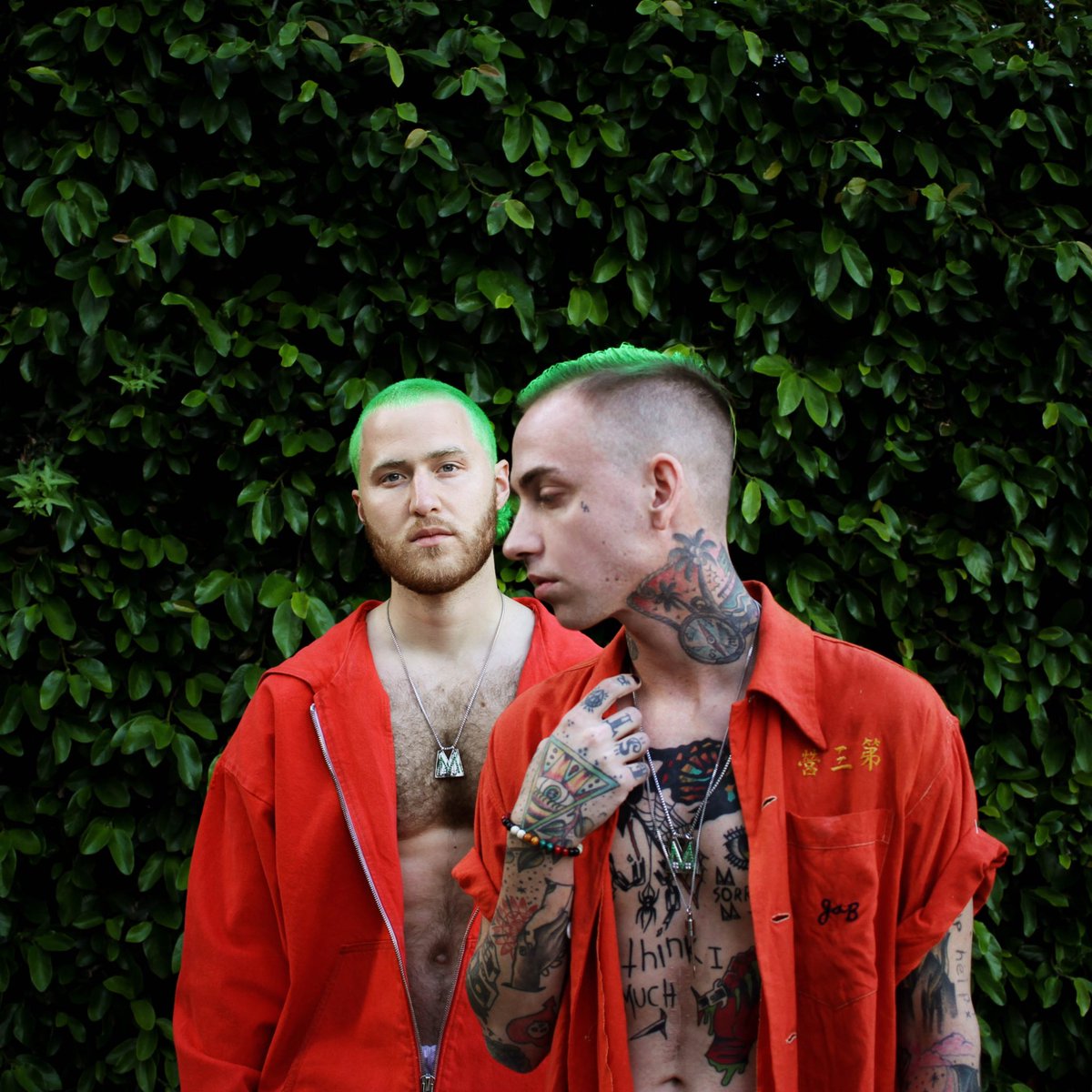 Credit: Tarina Doolittle
