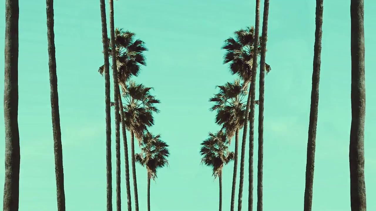 Rittz_-_Switch_Lanes_28Feat__Mike_Posner29_-_Official_Music_Video_0148.jpg