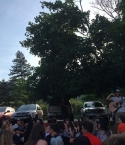 Filename=Boulder-Ninja-Tour-07012015-2.jpg
Filesize=140KiB
Dimensions=640x640
Date added=Jul 07, 2015 Boulder-Ninja-Tour-07012015-2.jpg