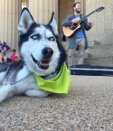 Filename=Mike-Posner-Centennial-Park-05132015-1.jpg
Filesize=144KiB
Dimensions=768x1024
Date added=May 15, 2015 Mike-Posner-Centennial-Park-05132015-1.jpg