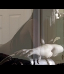 Mike_Posner_s_Wonderwall_on_Vimeo_39.jpg