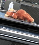 Pre-Show-SNX-SummerMusicFestival-08152014-4.jpg