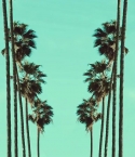 Filename=Rittz_-_Switch_Lanes_28Feat__Mike_Posner29_-_Official_Music_Video_0148.jpg
Filesize=139KiB
Dimensions=1280x720
Date added=Jun 07, 2013 Rittz_-_Switch_Lanes_28Feat__Mike_Posner29_-_Official_Music_Video_0148.jpg