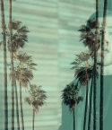 Filename=Rittz_-_Switch_Lanes_28Feat__Mike_Posner29_-_Official_Music_Video_0150.jpg
Filesize=129KiB
Dimensions=1280x720
Date added=Jun 07, 2013 Rittz_-_Switch_Lanes_28Feat__Mike_Posner29_-_Official_Music_Video_0150.jpg