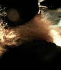 Filename=Rittz_-_Switch_Lanes_28Feat__Mike_Posner29_-_Official_Music_Video_0260.jpg
Filesize=85KiB
Dimensions=1280x720
Date added=Jun 07, 2013 Rittz_-_Switch_Lanes_28Feat__Mike_Posner29_-_Official_Music_Video_0260.jpg