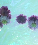 Filename=142.jpg
Filesize=539KiB
Dimensions=3840x2026
Date added=Nov 19, 2024 142.jpg